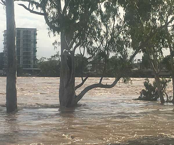 Rockhampton Flood Emergency