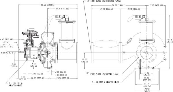PP1212S17 Vacuum Assisted Centrifugal Pump Pioneer - Image 2